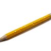 Chewed Pencil